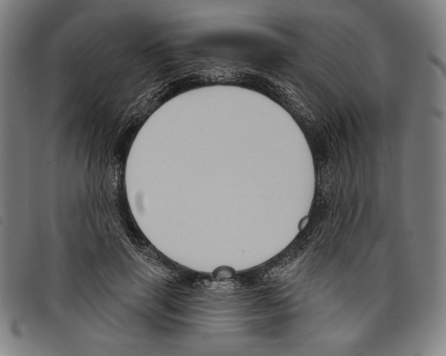 X0000097750645200804041104