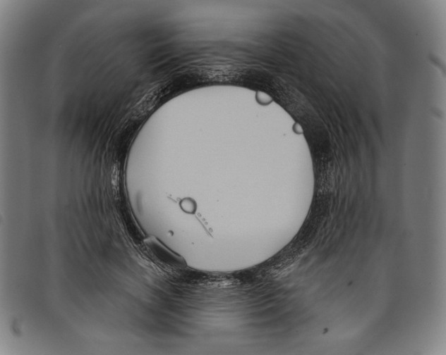 X0000097750646200804041104