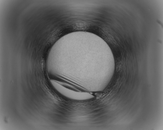 X0000097750647200804041104