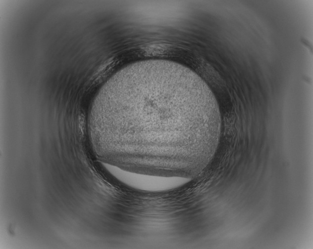 X0000097750648200804041104