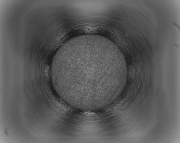 X0000097750650200804041104