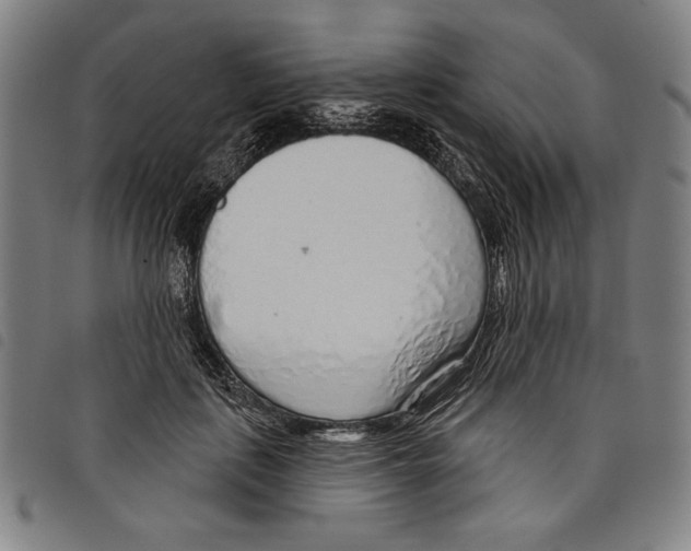 X0000097750651200804041104