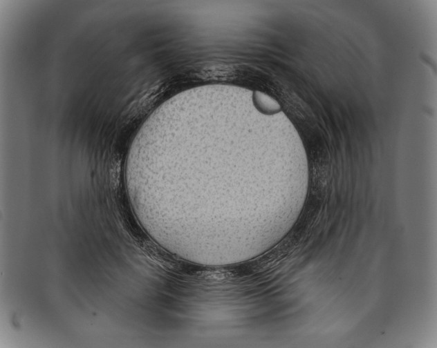 X0000097750652200804041104