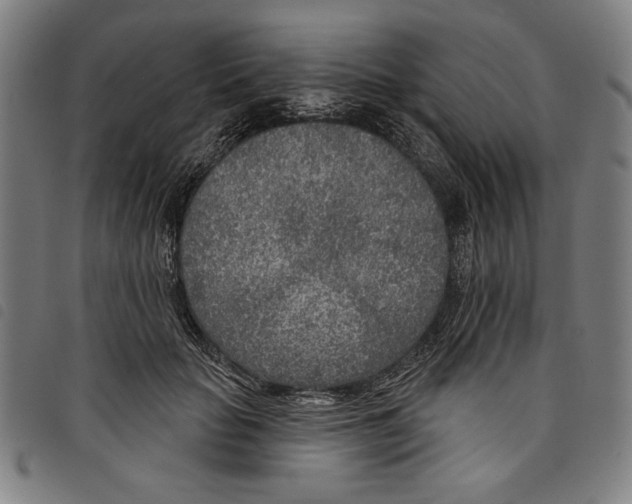 X0000097750653200804041104