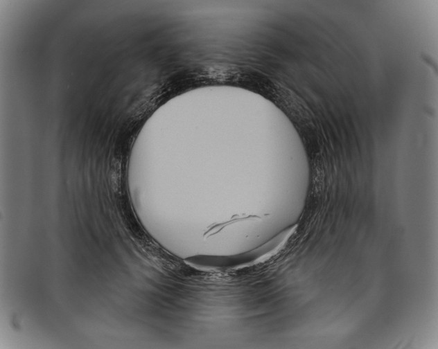 X0000097750656200804041104