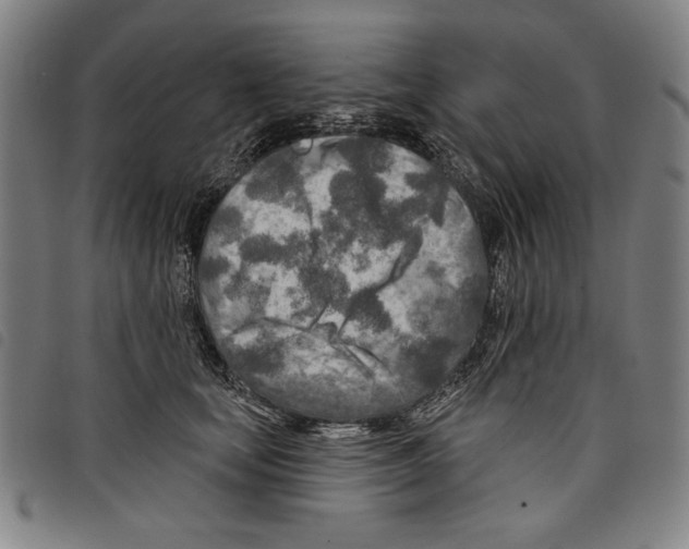 X0000097750659200804041104