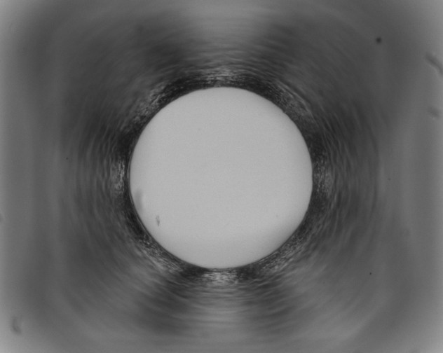 X0000097750660200804041104