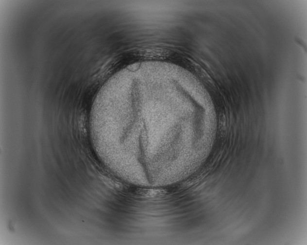 X0000097750663200804041104