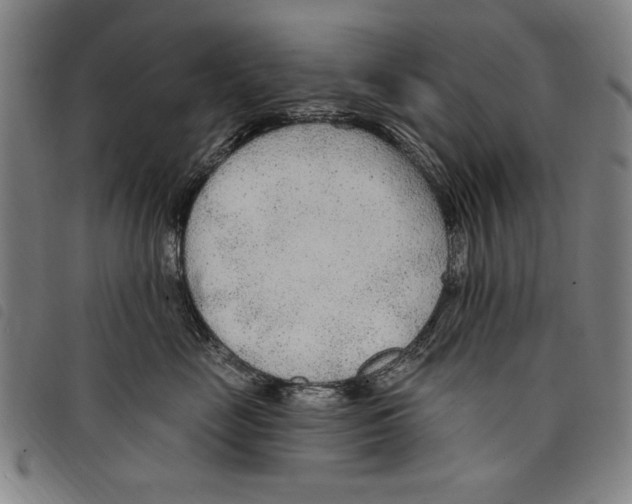 X0000097750669200804041104