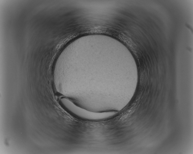 X0000097750673200804041103