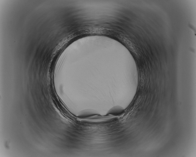 X0000097750674200804041103