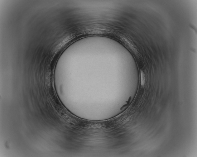 X0000097750675200804041103