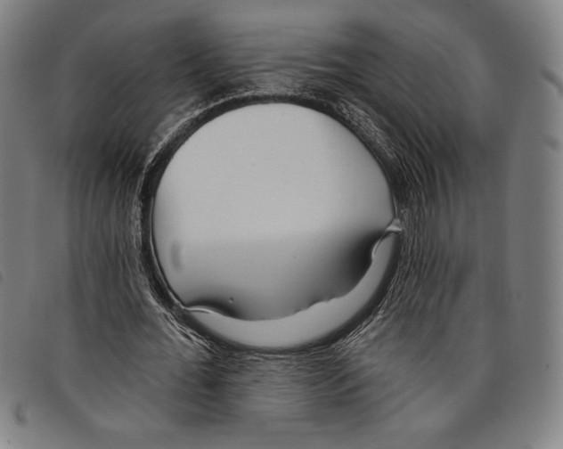 X0000097750676200804041103