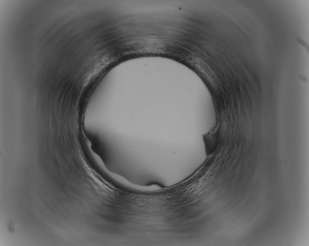 X0000097750677200804041103