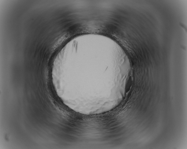 X0000097750679200804041103