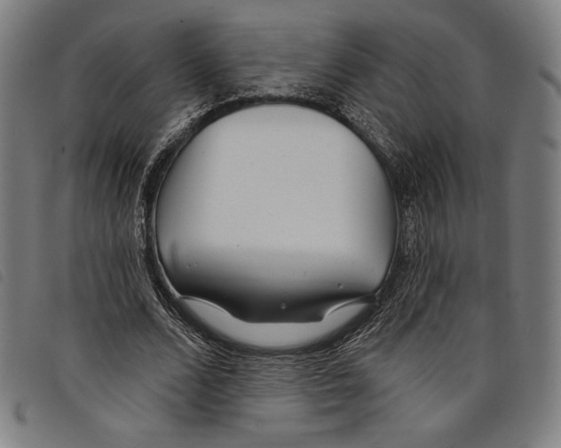 X0000097750680200804041103