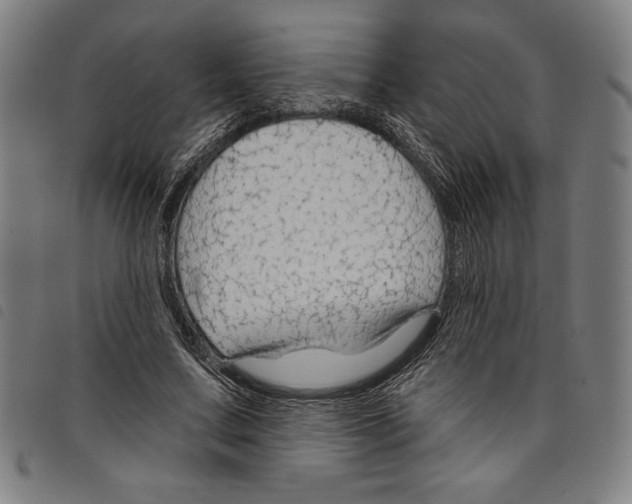 X0000097750683200804041103