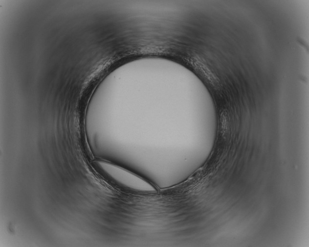 X0000097750684200804041103