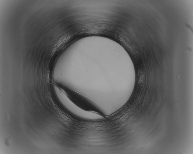 X0000097750685200804041103