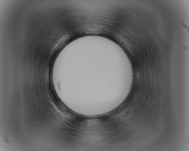 X0000097750686200804041103