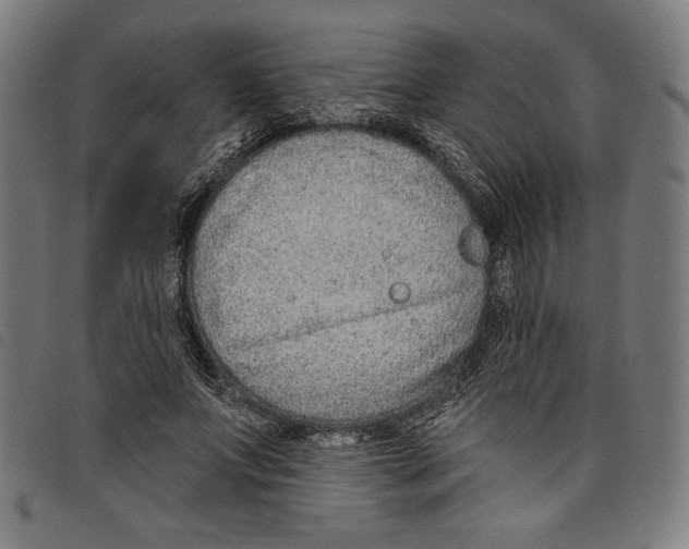 X0000097750687200804041103