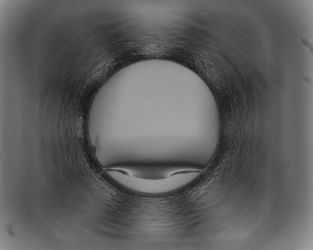 X0000097750689200804041103