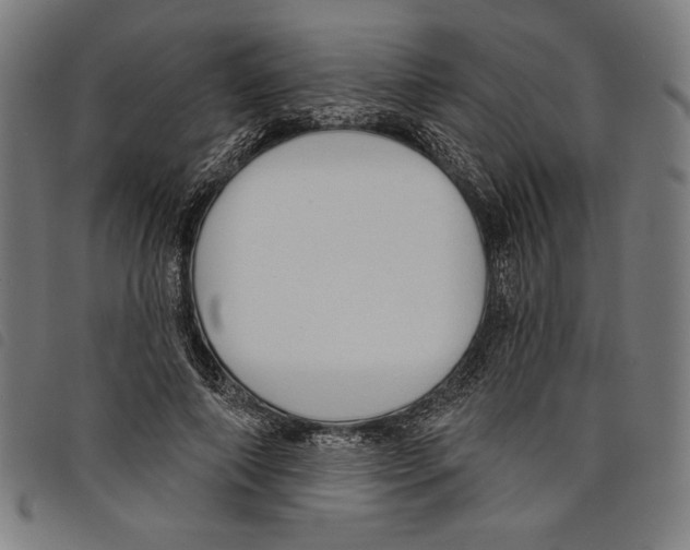 X0000097750690200804041103