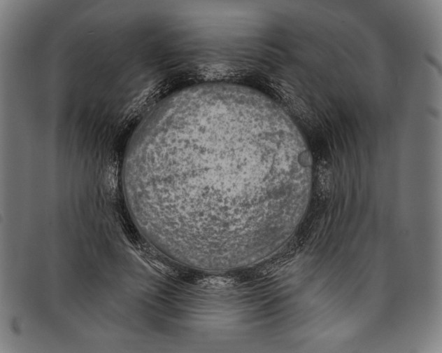 X0000097750691200804041103