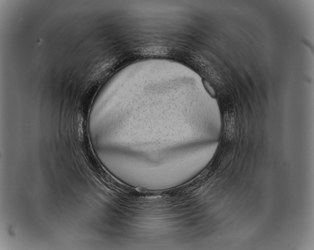 X0000097750692200804041103