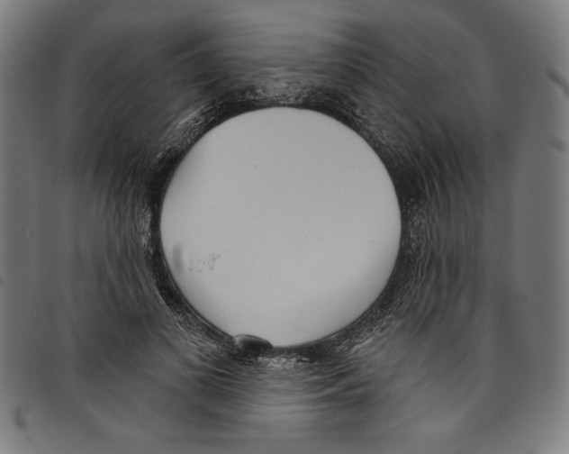 X0000097750693200804041103