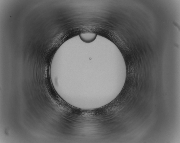 X0000097750694200804041103