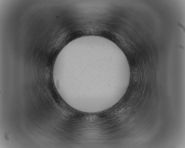 X0000097750695200804041103