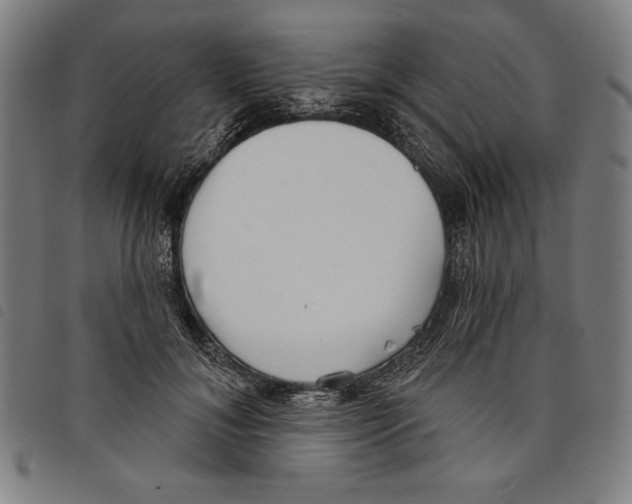 X0000097750700200804041103