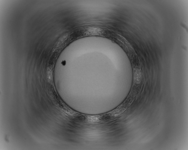 X0000097750701200804041103