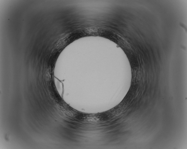 X0000097750702200804041103