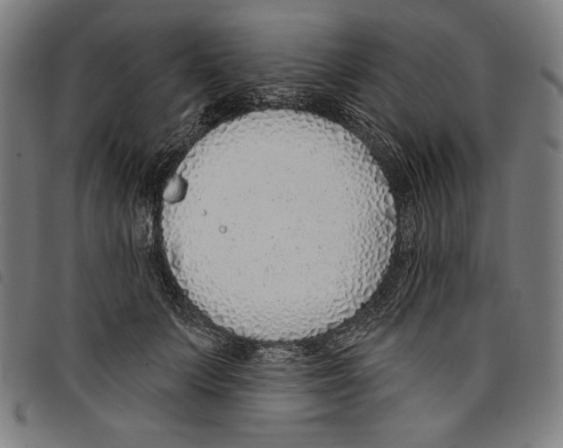 X0000097750703200804041103