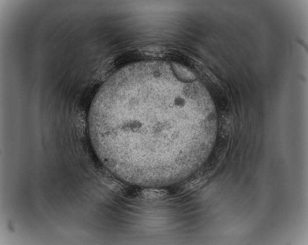 X0000097750707200804041103