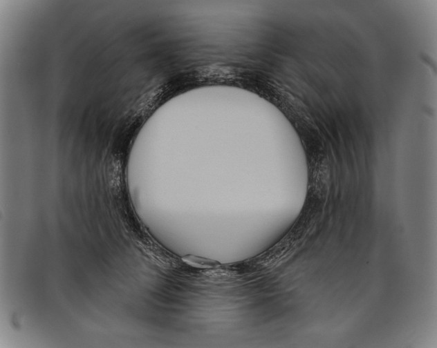 X0000097750708200804041103