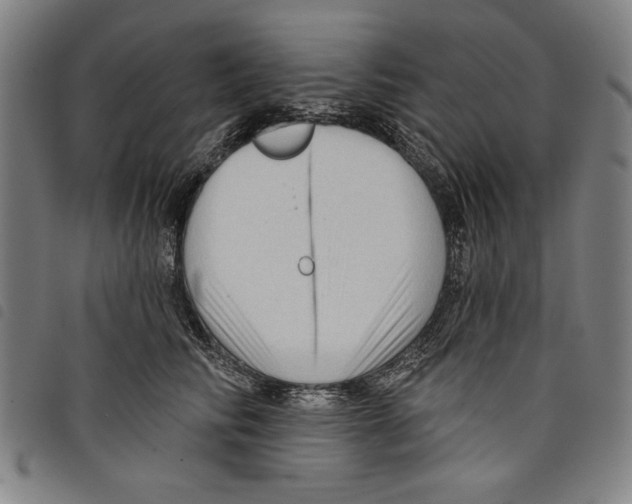 X0000097750710200804041103