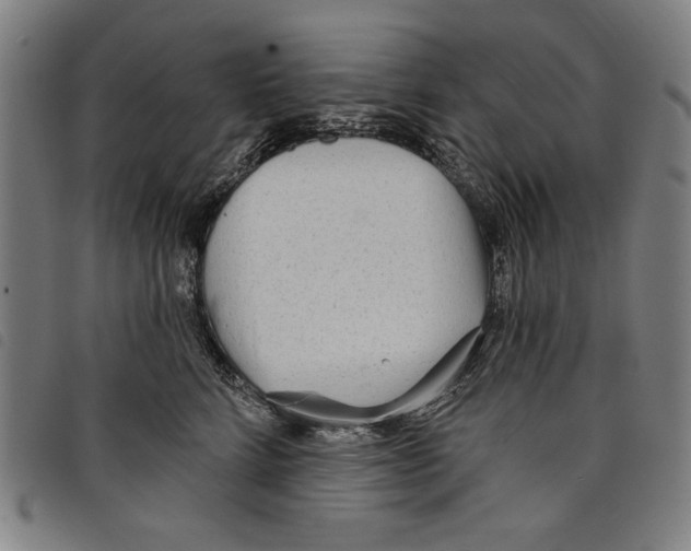 X0000097750712200804041103