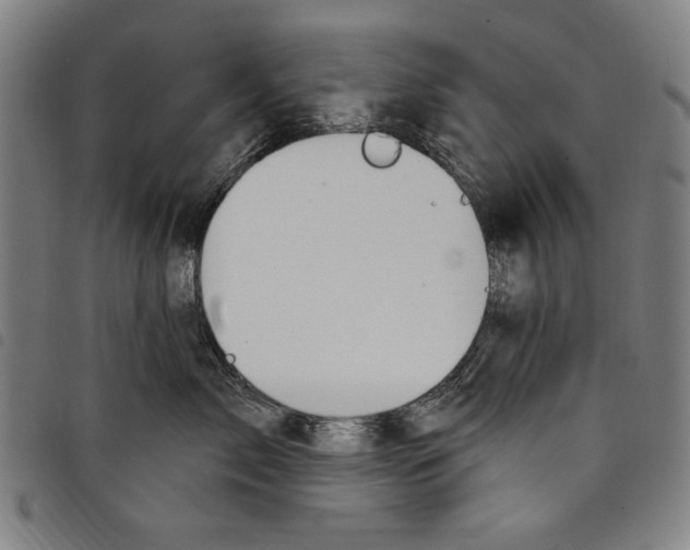 X0000097750717200804041103