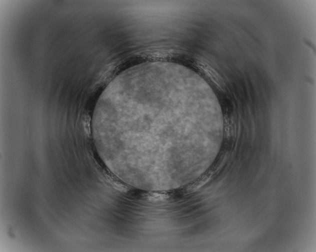 X0000097750718200804041103