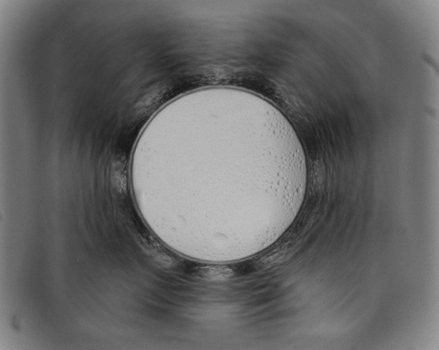 X0000097750719200804041103