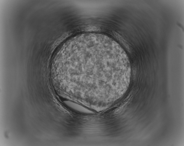 X0000097750721200804041102