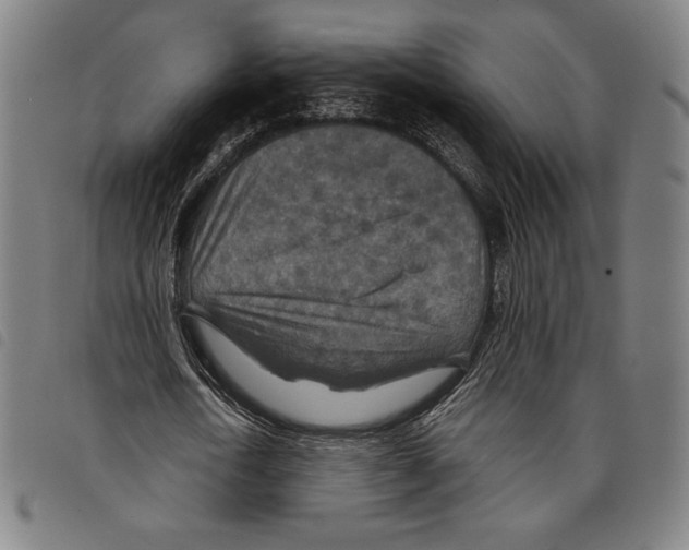 X0000097750722200804041102