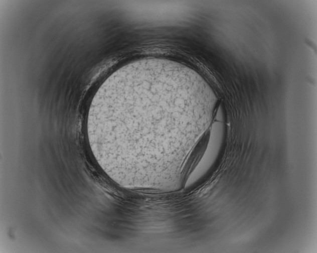 X0000097750723200804041102