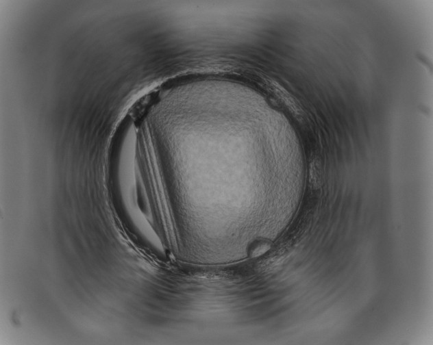 X0000097750724200804041102