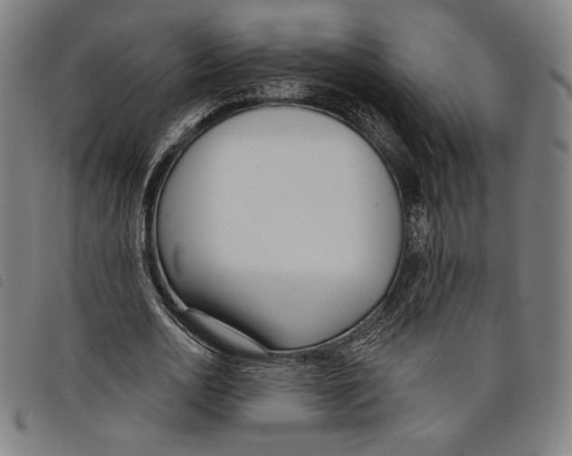 X0000097750726200804041102