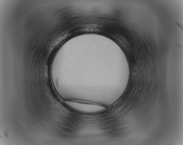 X0000097750727200804041102