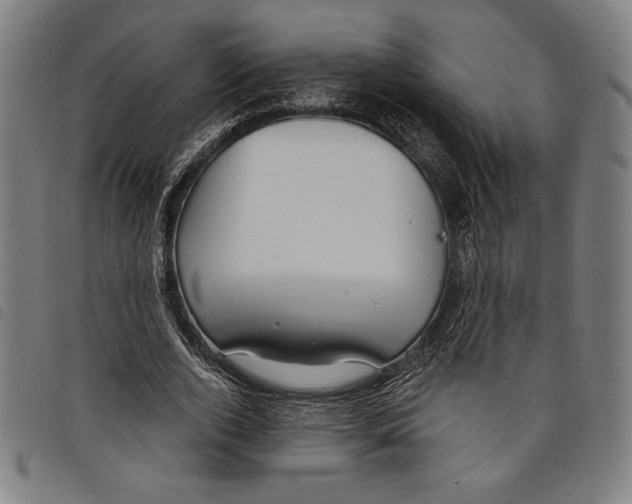 X0000097750728200804041102